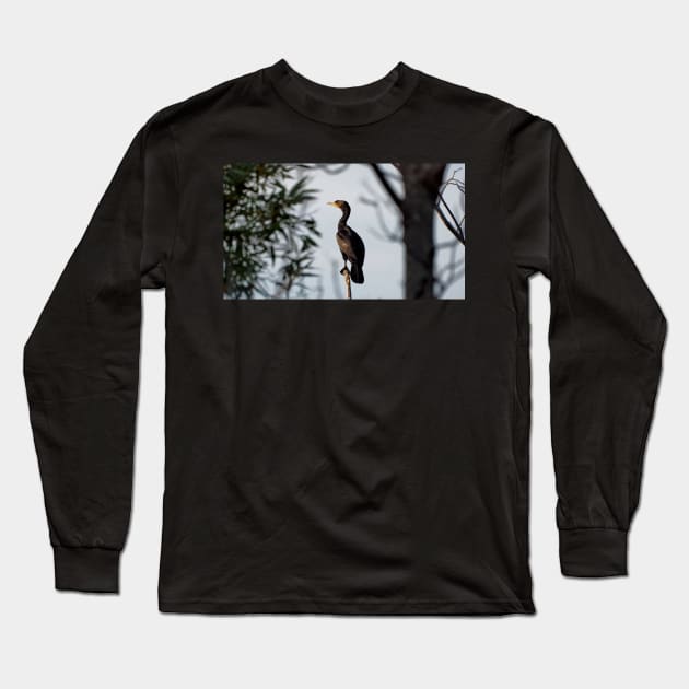 Double-crested Cormorant Perched On a Tree Branch Long Sleeve T-Shirt by BackyardBirder